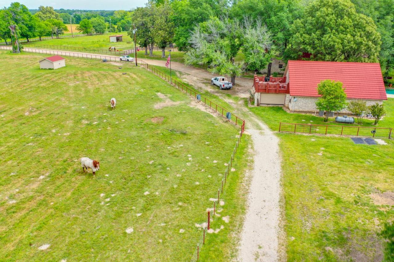 Dog-Friendly Wills Point Home With Grill On 10 Acres Canton Luaran gambar